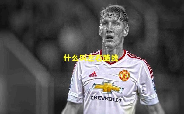 什么叫左右路线