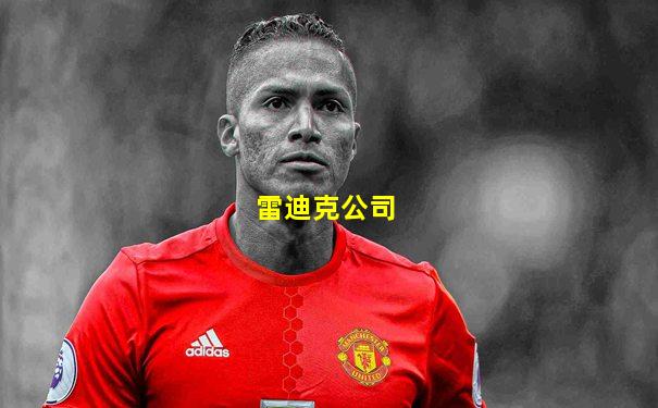 雷迪克公司